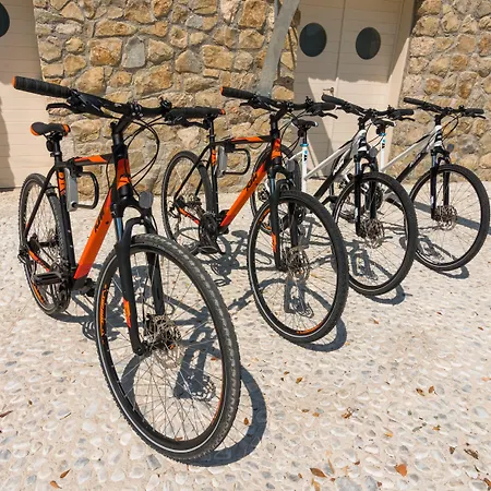 Arbiana Heritage 4*